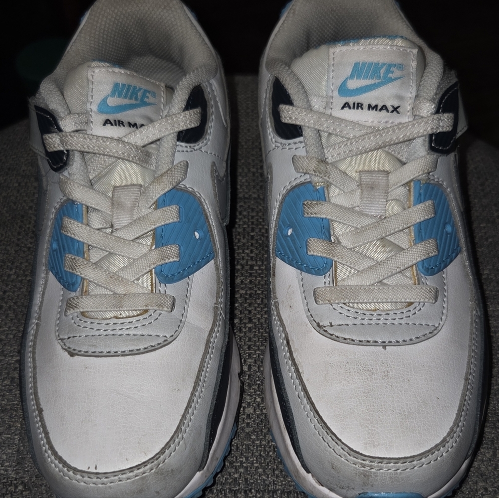 Nike Air Max White and Blue Sneakers